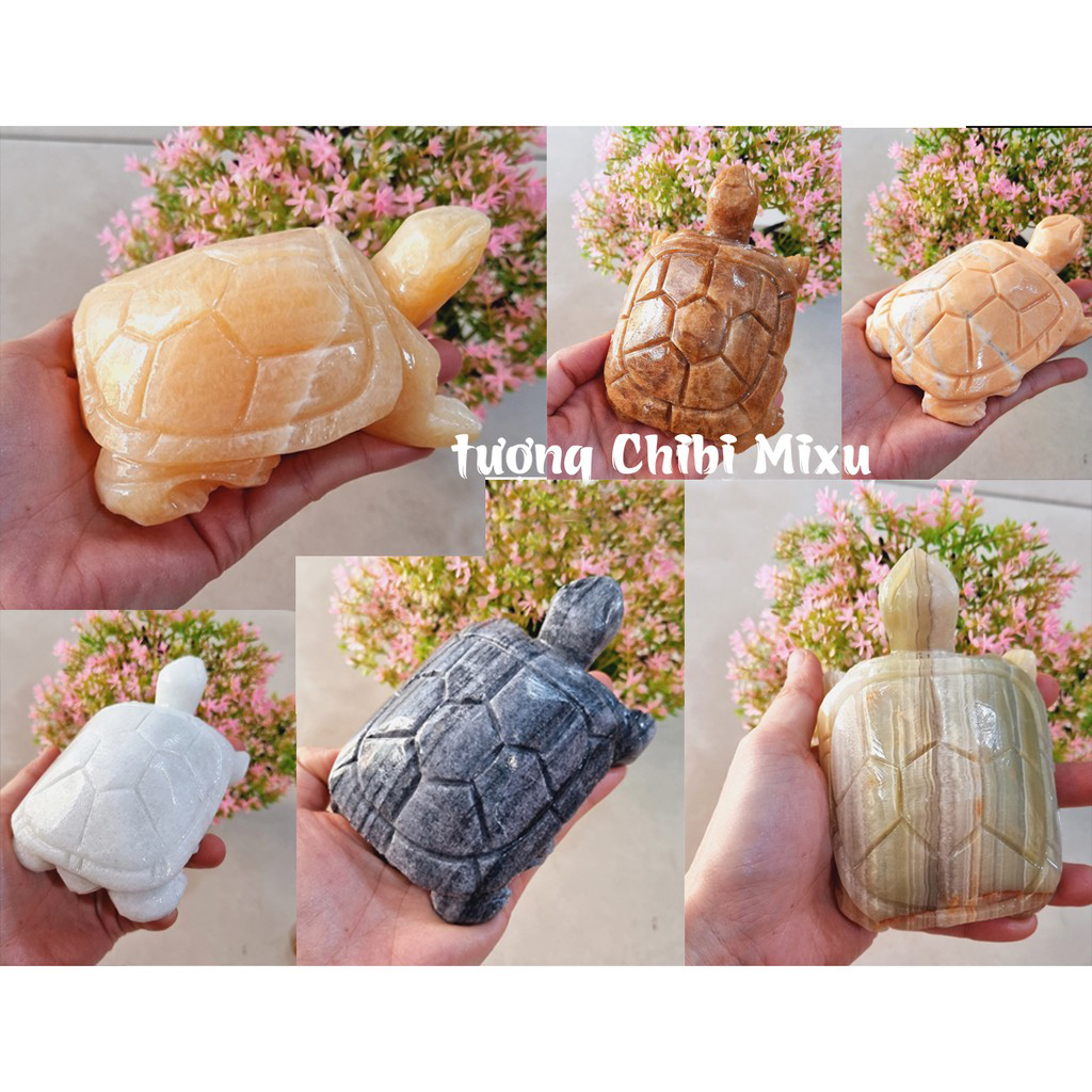 (Chọn màu) Cụ Rùa đá size 12cm